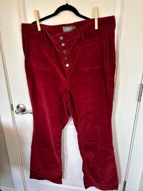 Torrid Red Velvet Button-Front Pants
